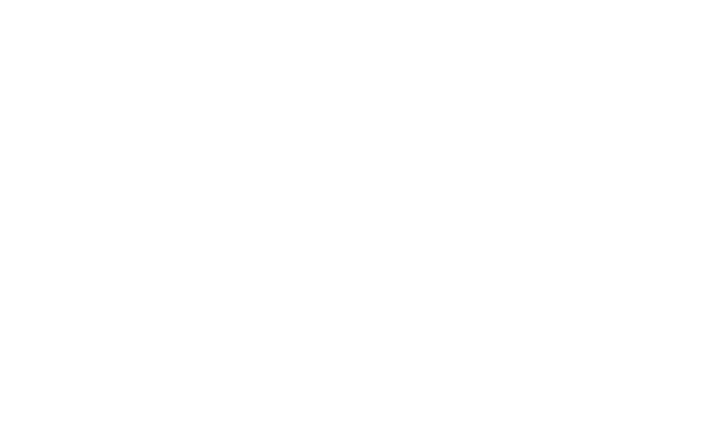 SNOW BOAD MALLARD
